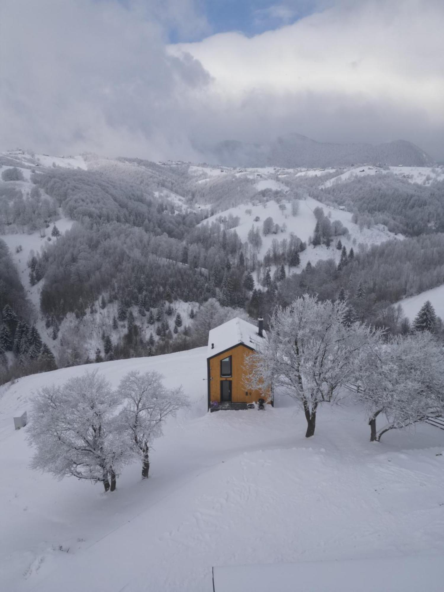 Amont Chalet Peştera Eksteriør billede